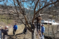 Taille-par-les-Croqueurs-de-pommes