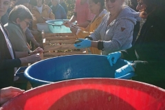 fete-de-lautomne-2019-après-midi-2