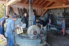 fete-de-lautomne-2019-après-midi-4