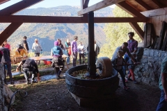 fete-de-lautomne-2019-après-midi-5