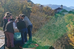 fete-de-lautomne-2019-après-midi-6