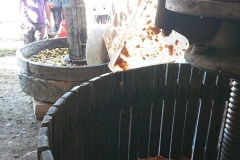 fete-de-lautomne-2019-après-midi-8